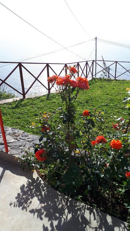 Casa Villa Dinastía Sótão Y Casa Villa Dinastía Miramar Ribeira Brava Exterior foto