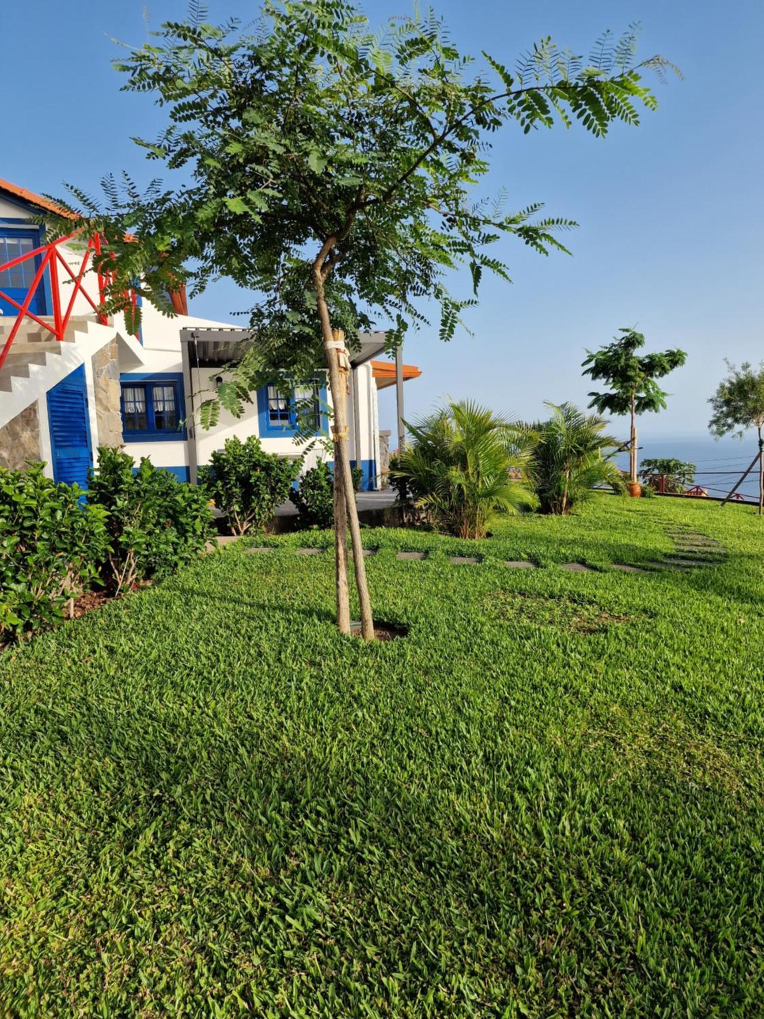 Casa Villa Dinastía Sótão Y Casa Villa Dinastía Miramar Ribeira Brava Exterior foto