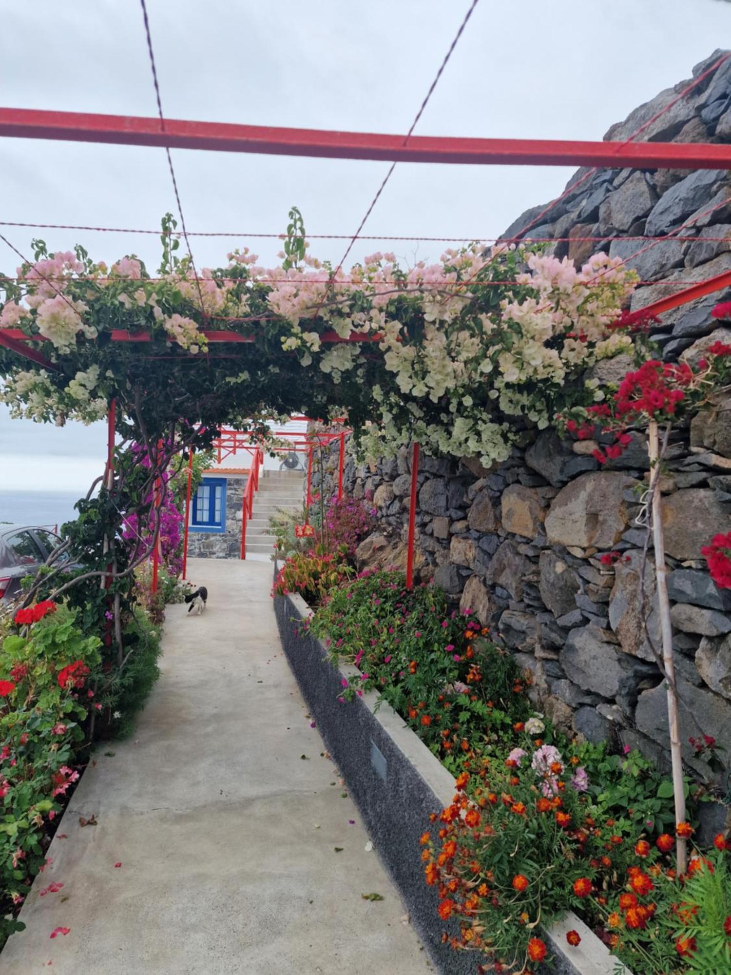 Casa Villa Dinastía Sótão Y Casa Villa Dinastía Miramar Ribeira Brava Exterior foto